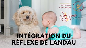 Le réflexe (la réaction) de Landau