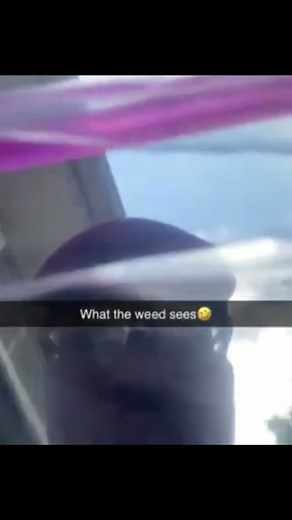 Memes & Funny Videos (@stonedhumor)’s videos with original sound - Memes & Funny Videos