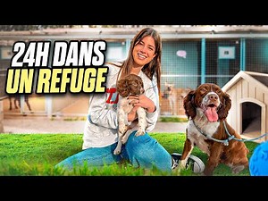 J'AI PASSÉ 24H DANS UN REFUGE (c'était incroyable)