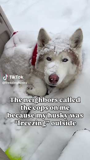 Should I Get a Lawyer When Police Side With Your Neighbor?