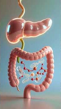 What happens when we eat Meat with anatomical explanation #anatomical #food #healthbenefits
