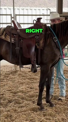 The Fascinating Russian Fox Domestication Experiment Revealed!