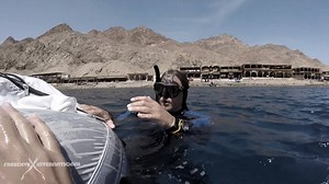 10K views · 243 reactions | A nice video as a homage to our Master Hugh who was for a few weeks in Dahab with us and at the end of his stay he reached 54 meters and left us as a very accomplished freediver! Thanks instructor Flo for the deep video of Hugh's dive at the Blue Hole and for the bubble ring fun at the end:) | Freedive International | Facebook