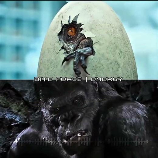 Indominus Rex vs King Kong 2005 | #jurassicworld #indominusrex #kingkong #wisedit #viral #fyp