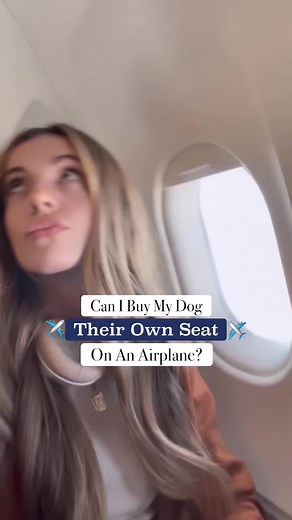 Buying an Airplane Seat for Your Dog: JetBlue Policies