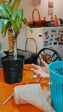 Convierte una Papelera en Matera 🌱 | DIY Fácil y Rápido