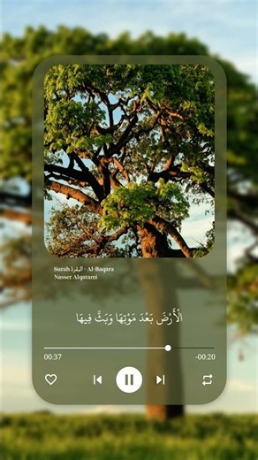 سورة البقرة | ناصر القطامي | تلاوة مؤثرة #القرآن_الكريم #قرآن #سورة_البقرة #quran #explore #ترند