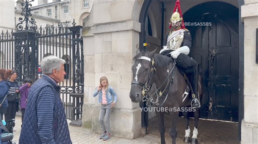 Fast and Furious Ormonde Finds another Target | The King's Horse Guards London