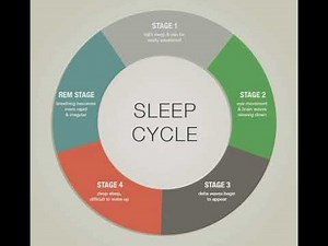 Sleep Cycle