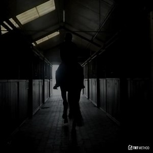 Let's be honest: do you know what your horse needs to have a fulfilling life? Maybe you want your horse to be less spooky. Or maybe you would like to never have issues trailer loading again. Then turn up the sound on this video. This was my ending scene for TRT Live Worldwide, our virtual event. It was a moment to reflect on what our horses mean to us. Are they a passion? Are they a sport? And what do we try to achieve with our horses? Everyone is in it for a different reason. Horses for me, it'