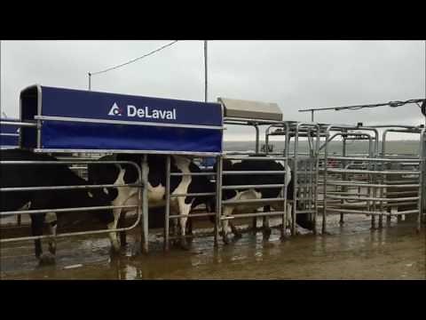 DeLaval Sort Gate DSG10
