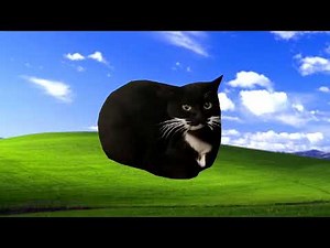 Maxwell the cat Windows XP Background