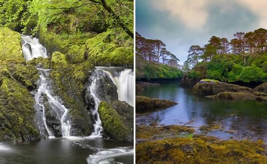 Glengarriff Nature Reserve: A Guide to the Walks   Waterfall