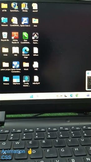 #animation CSS 🤞 Programming