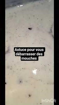 Astuce pour vous débarrasser des mouches et moucherons #explore #cooking
