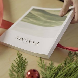 28K views · 292 reactions | Give the gift of Alabaster. | Alabaster Co | Facebook