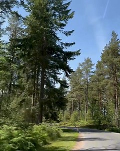 35K views · 313 reactions | POV you're driving down the driveway to Whinfell Forest Center Parcs  Are you seeing this view soon? | Center Parcs UK | Facebook