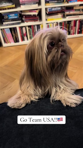 Shimmer's Excitement for the 2025 Olympics