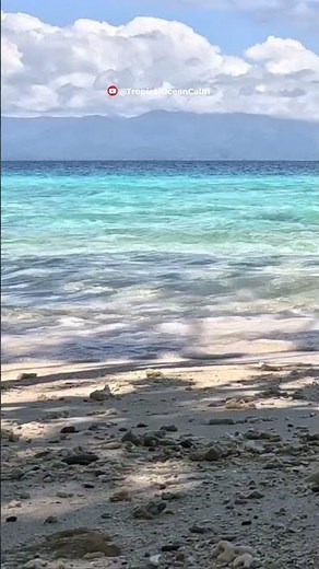 Gentle Beach Waves for a Quick Mind Reset #beachambience #beach #peacefulwaves
