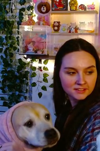 What a boy, my baby Jack in his pig sweater💖🐷 #twitch #dog #cute #cuddles