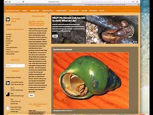 How to resize your photos online using PicResize.com