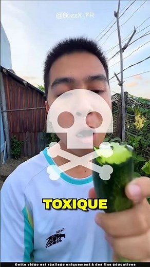 What is the secret of the explosive cucumber 💥🥒