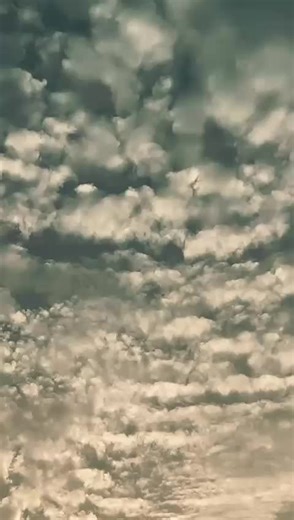 "No caption" 🙂😌