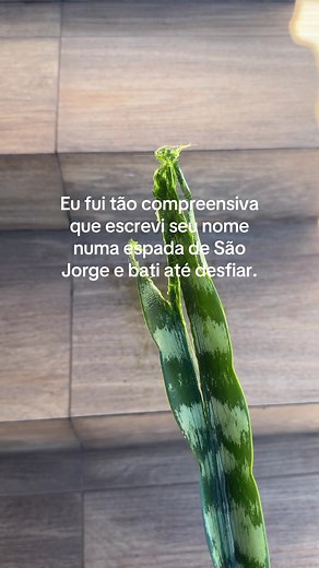Surra Espiritual: Espada de São Jorge contra Inveja