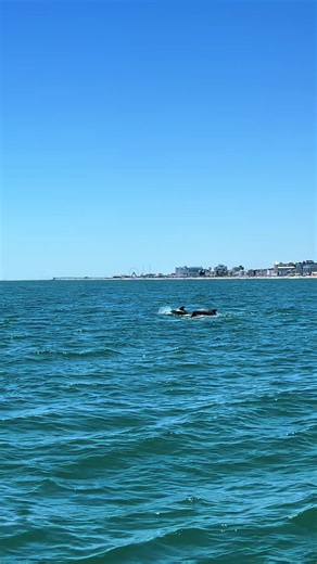 Sea Rocket speed boat ride in Ocean City, Maryland