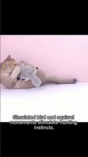 Electric Vibrating Plush Cat Toy 🐱 Simulated Bird & Squirrel | Interactive Chew Toy for Medium Cats