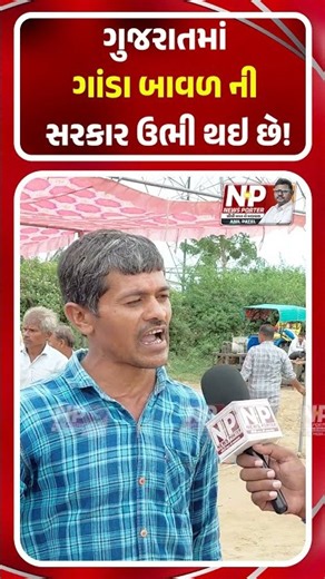 GUJARAT માં ગાંડા બાવળ ની સરકાર ઉભી થઇ છે! PM MODI | KHEDUT | GROUND REPORT | NEWS PORTER | DHOLKA