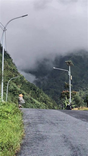 Wisata Swiss Van Java: Keindahan Alam Wonosobo