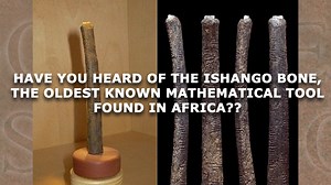 Have you heard of the ISHANGO BONE? The carved Ishango bone has become a star of African archaeology because it has been in the news for a long time. It is something with a handle made of bone and a piece of quartz. It's an interesting object just because of how it's made, because there aren't many ancient composite tools that have survived. | African Booth