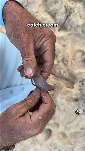 How I put mullet fillet on a hook for bait - super easy & effective!