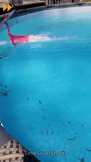 Effective Pool Cleaning Without Using Hands