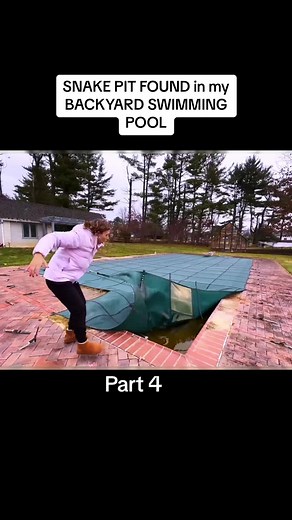 Exploring the Snake Pit in my Backyard Swimming Pool
