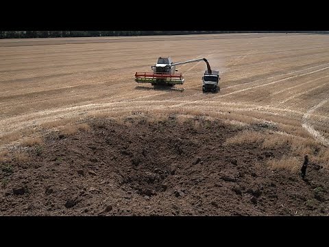 Guerre en Ukraine : récolter en urgence pour sauver la production agricole