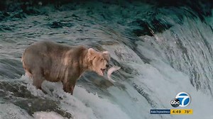 IMAX film highlights national parks