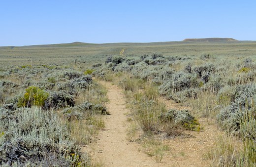 South Pass: Gateway To The Oregon Territory And California Goldfields