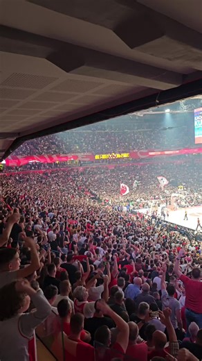 Zvezda Sampion: Crvena Zvezda vs Olympiacos Highlights