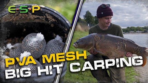 2.7K views · 204 reactions | BIG HIT WITH PVA MESH / STICKS! ESP...