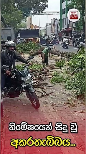 නිමේෂයෙන් සිදු වූ අකරතැබ්බය... | "ගහ එකපාරටම කඩා වැටුණා වාහනේ උඩට" Ada Derana