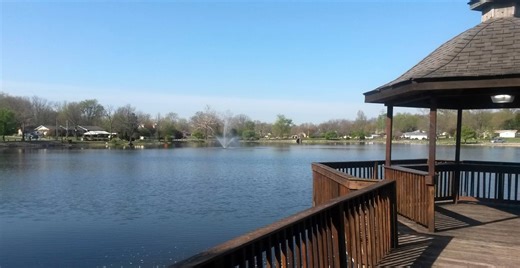 Scott County Indiana Happenings and Discussion | I have two large bushes that I need to have removed if anyone does that type of work and is interested | Facebook