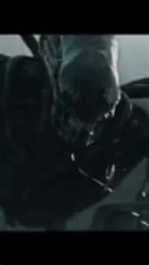 Should u watch alien covenant #alien #xenomorph