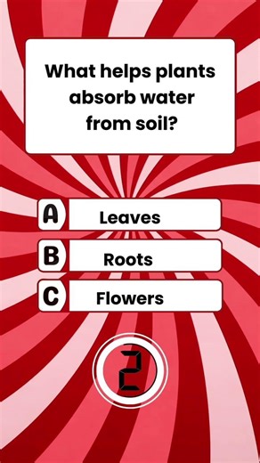 “Quick! Can you answer this in 5 seconds?” #shorts #reels #quiz