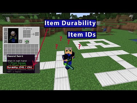 Show Minecraft item durability and item ids