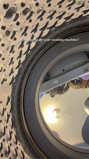 Essential Washing Machine Cleaner for Pet Owners