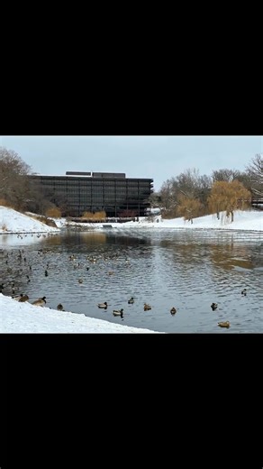 A huge congratulations to the 61 teams from 32 Iowa and Illinois communities that competed in our four recent Quad City FIRST LEGO League Challenge Qualifiers organized by the QCESC! 🤖✨ A sincere thank you to our 111 incredible volunteers and our hosts at John Deere World Headquarters and the Family Museum for making these events possible. Check out the full results and photo galleries using the following link. https://qcesc.org/2025-quad-city-first-lego-league-challenge-qualifier-results/ | QC
