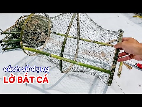 Cách sử dụng lờ bắt cá các loại và vài kinh nghiệm