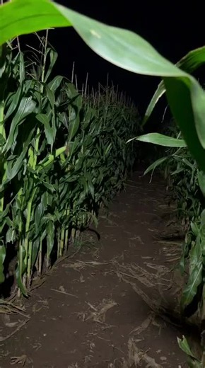Caverswall Screamery Friday Fright Nights - Mad Farmer Jim